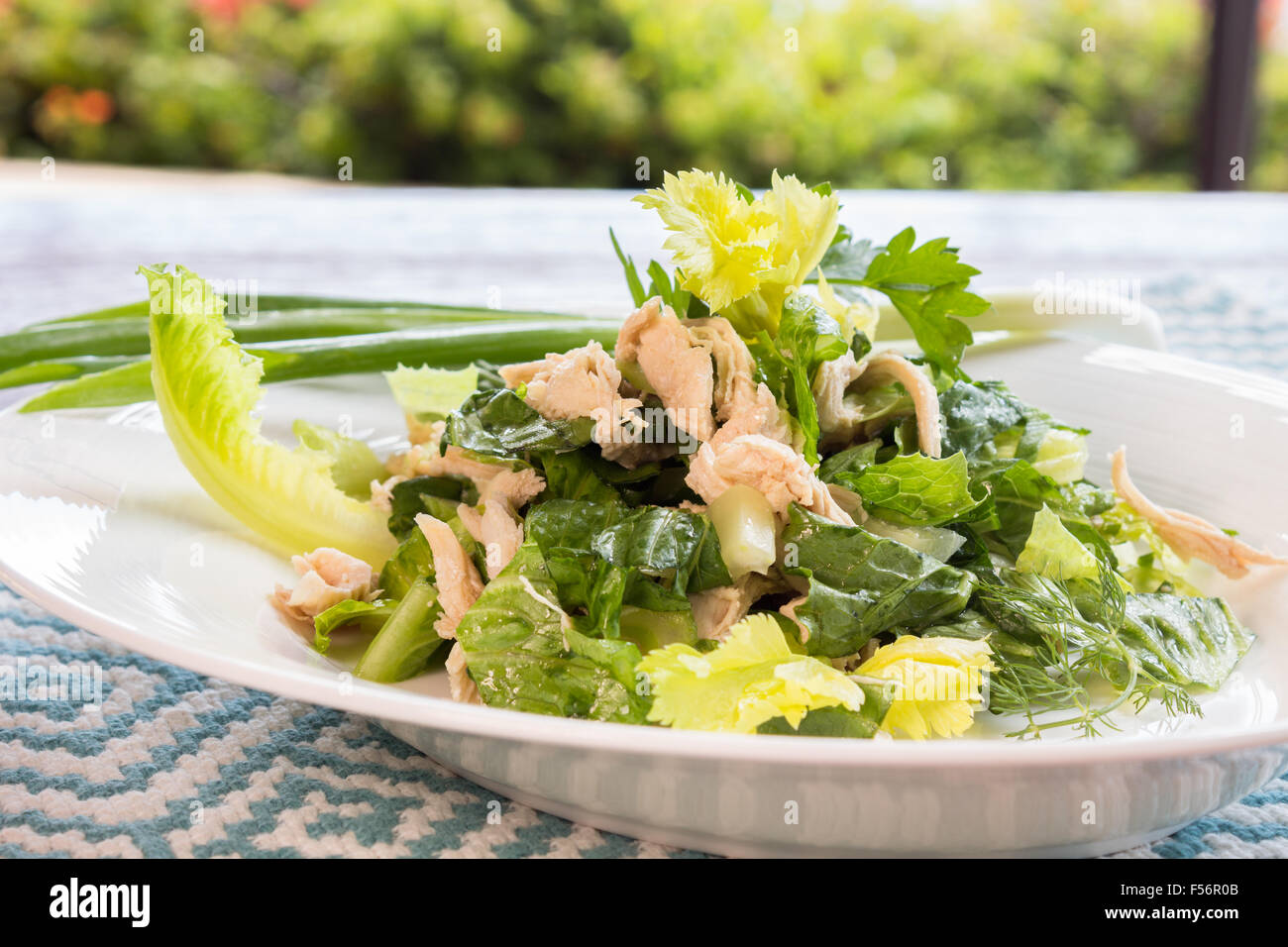 Ensalada de Pollo chino hecho con pollo desmenuzado y verduras mezcladas  con vestidor Fotografía de stock - Alamy