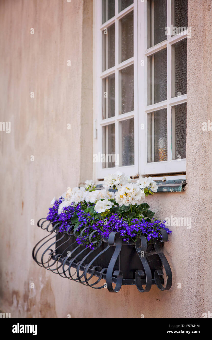 Imagen de una ventana de cuadro de metal adornado de flores. Foto de stock