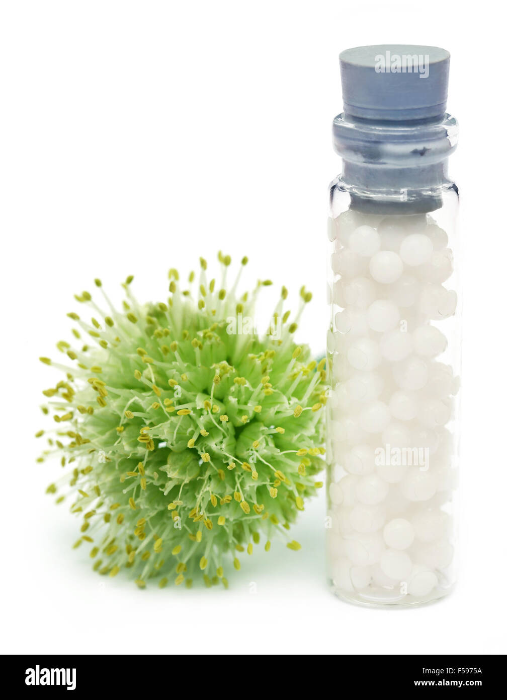 Glóbulos de Homeopatía con flor de hierbas Foto de stock