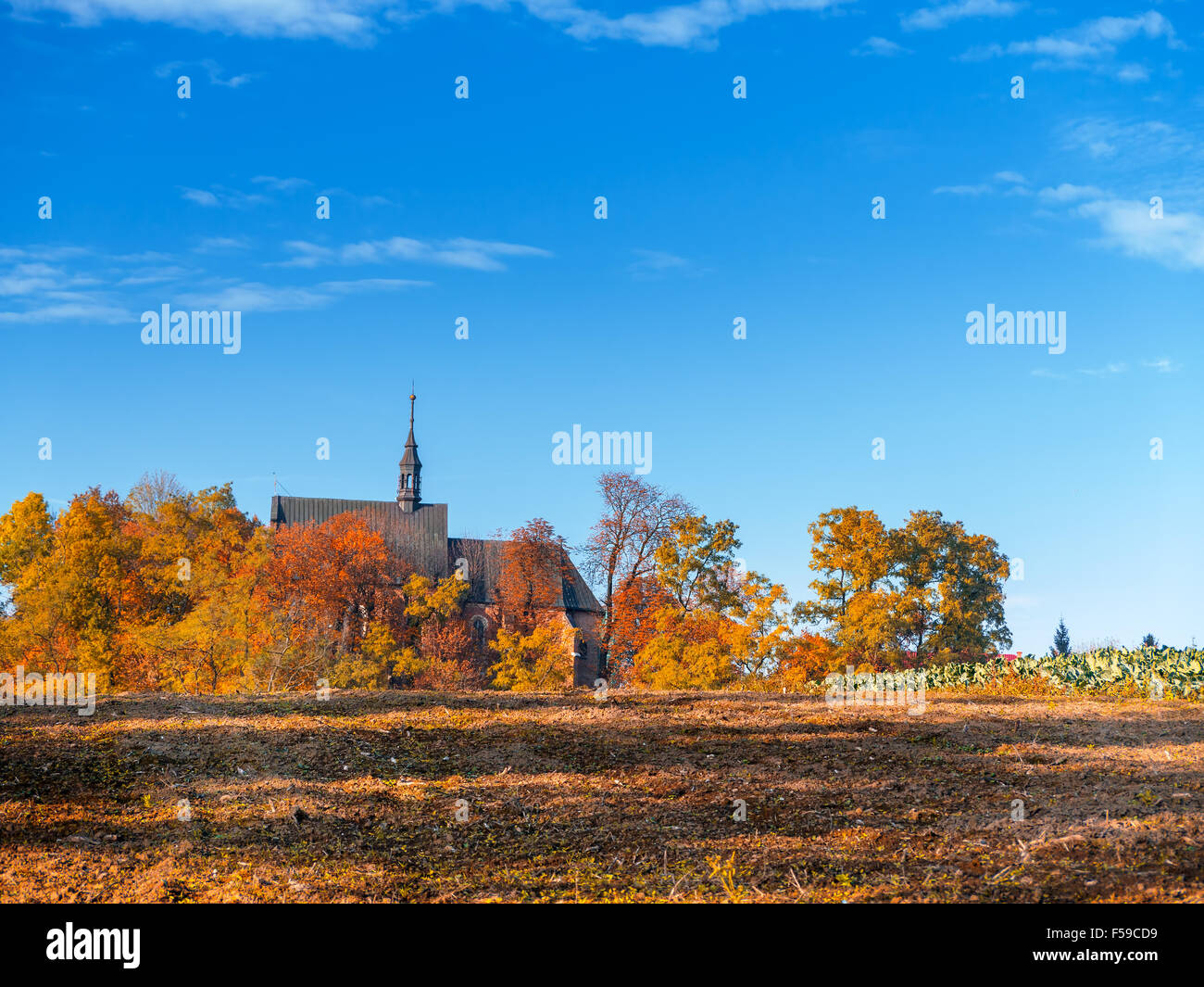 Campo viejo iglesia católica rodeado por árboles en colores de otoño Foto de stock