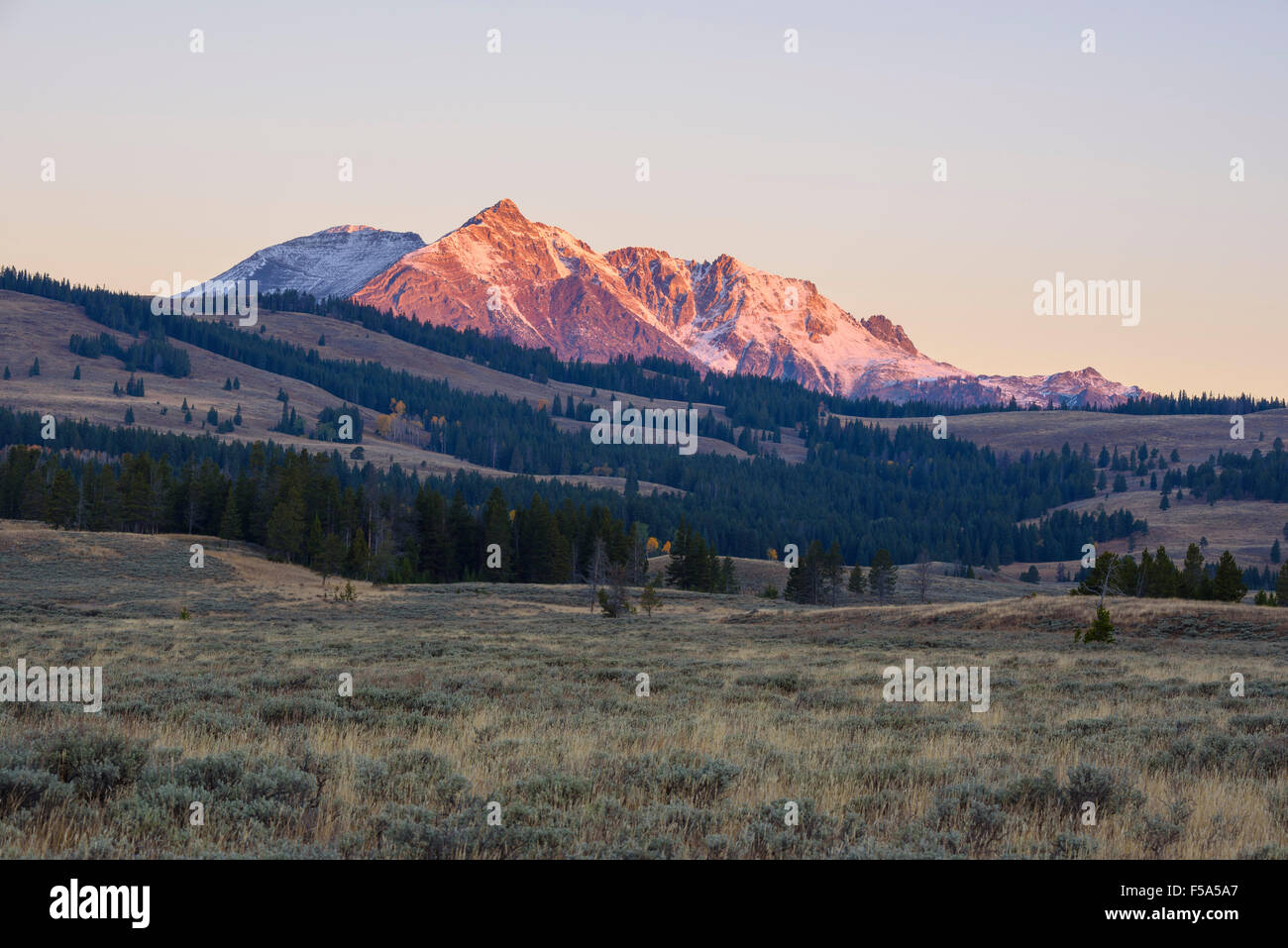 Amanecer sobre el Gallatin Range y el lago de los Cisnes Flats, el Parque Nacional Yellowstone, Wyoming, EE.UU. Foto de stock