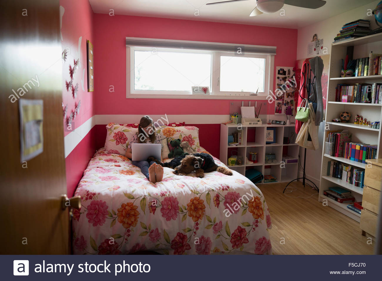 Perro durmiendo junto a una chica con cama portátil Foto de stock