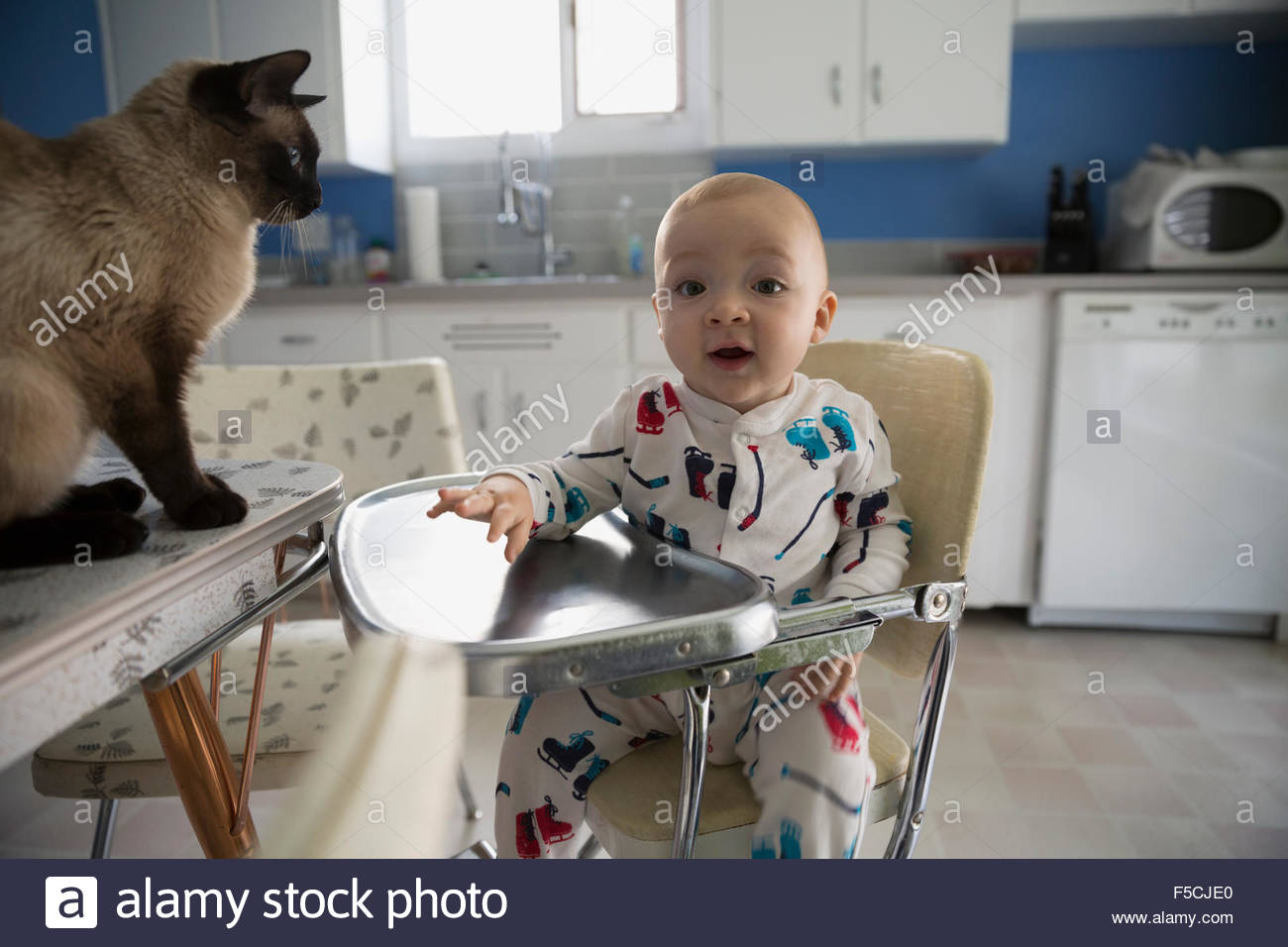 Retrato entusiasta Baby Boy silla alta por cat. Foto de stock