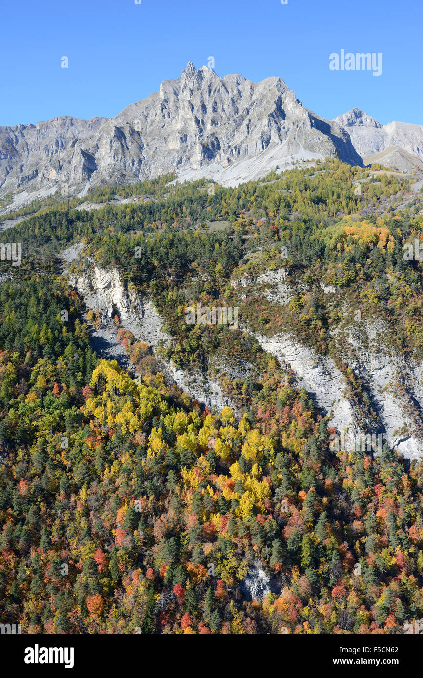 VISTA AÉREA. Caída de follaje a los pies de la Aiguille de Pelens (elevación: 2523 metros). Saint-Martin d'Entraunes, Alpes Marítimos, Francia. Foto de stock
