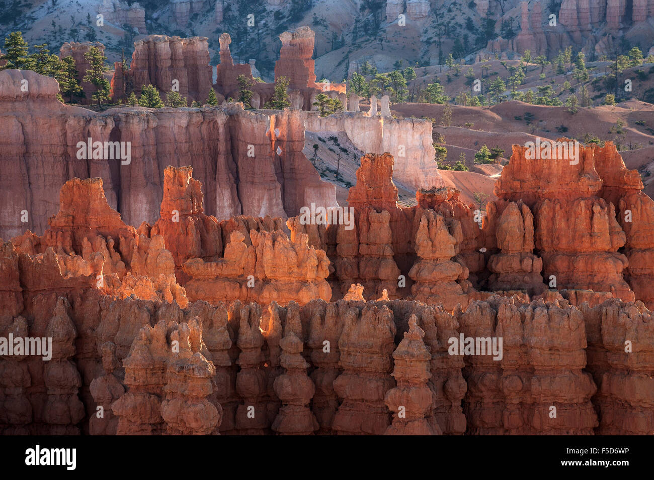 Vista de Bryce anfiteatro desde el punto de inspiración de colores, formaciones de piedra, chimeneas de las hadas, la luz de la mañana Foto de stock
