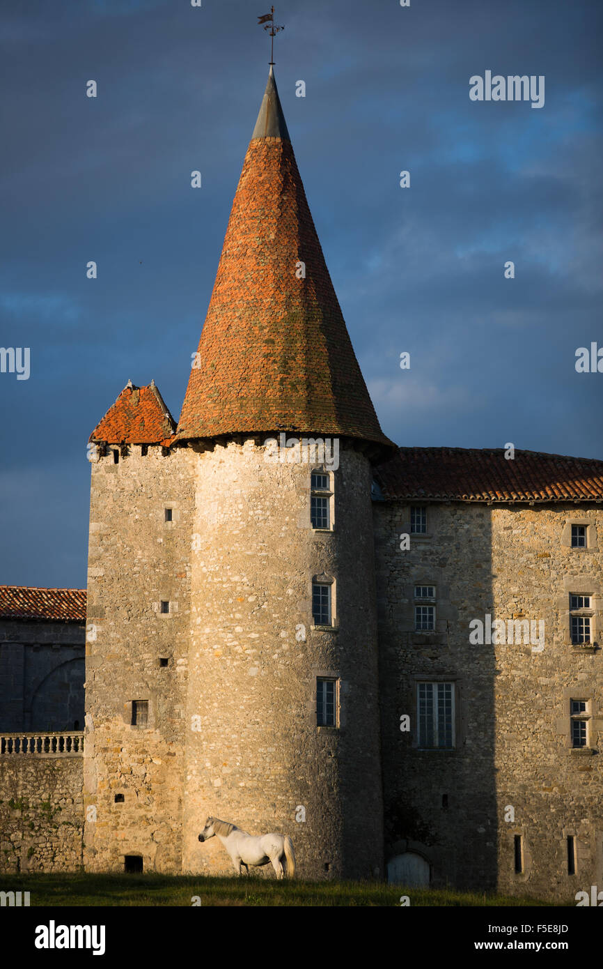 Chillac Chateau, la Charente, Francia, Europa Foto de stock