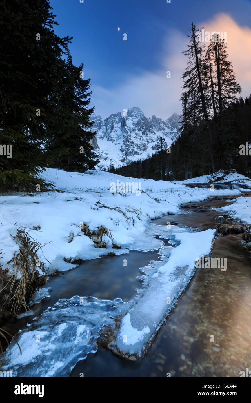 Un arroyo congelado bajo un cielo de invierno frío, Panaveggio Venagia Valle, Parque Natural, dolomitas, Trentino-Alto Adige, Italia, Europa Foto de stock