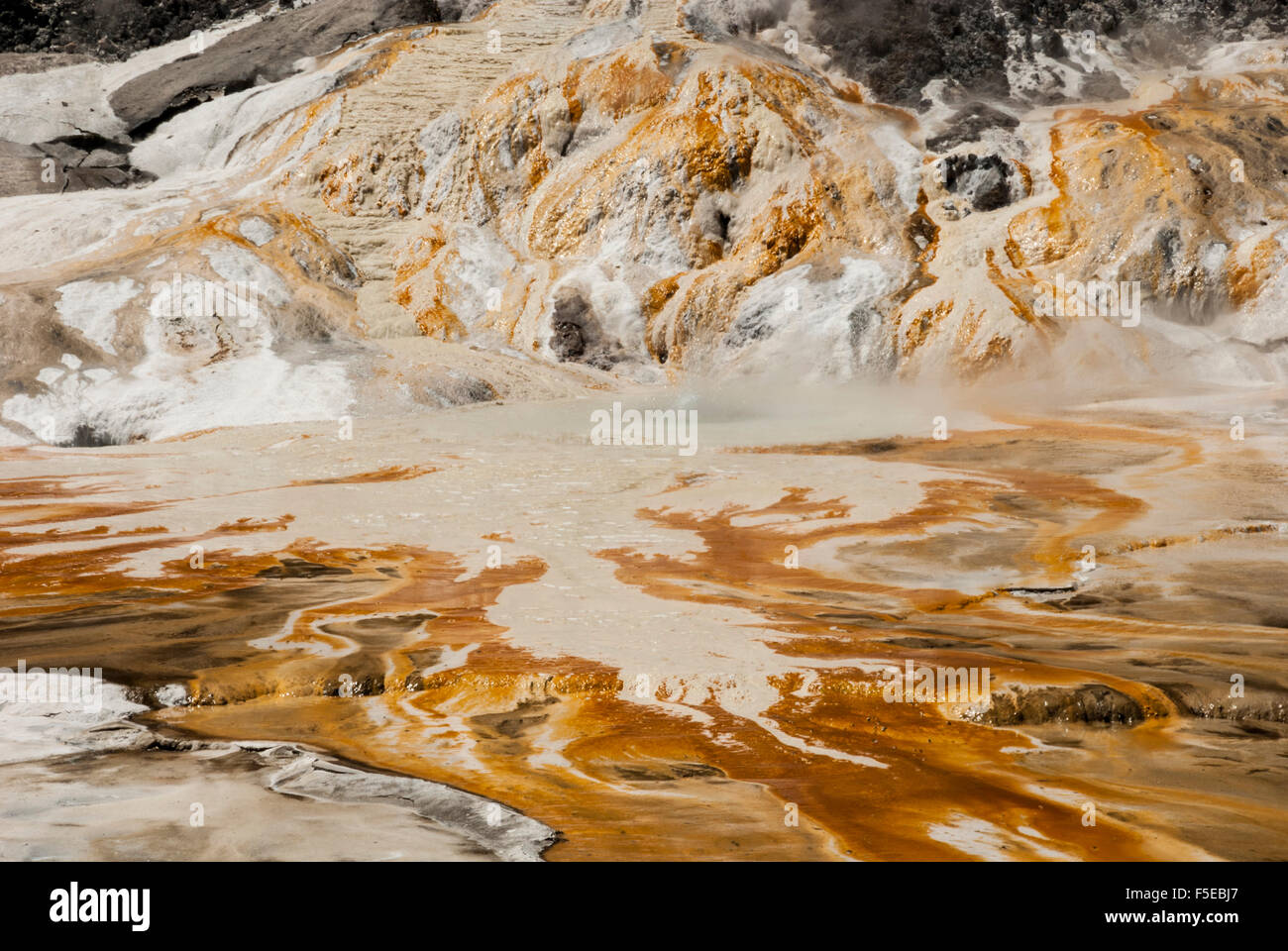 Depósitos de sinterización de Orakei Koraka área geotérmica, Rotorua, Isla del Norte, Nueva Zelanda, el Pacífico Foto de stock