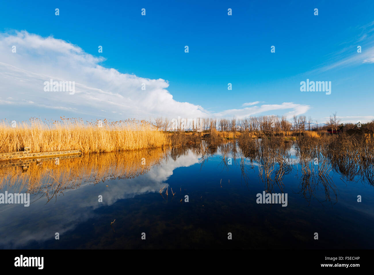 El lago Sevan, provincia de Gegharkunik, Armenia, el Cáucaso, Asia Central, Asia Foto de stock