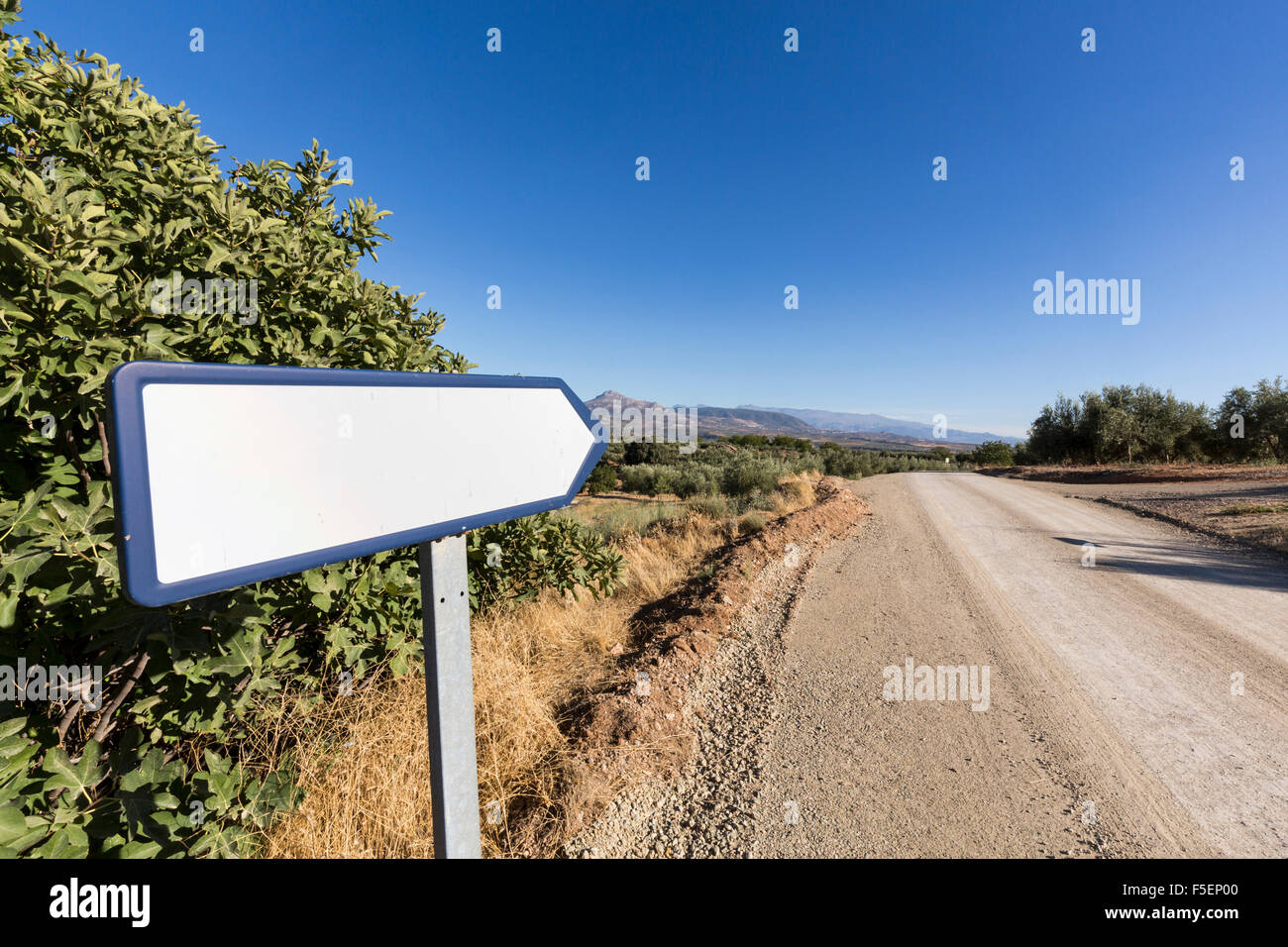 Señal de carretera en blanco al lado de una carretera con montañas en la distancia Foto de stock