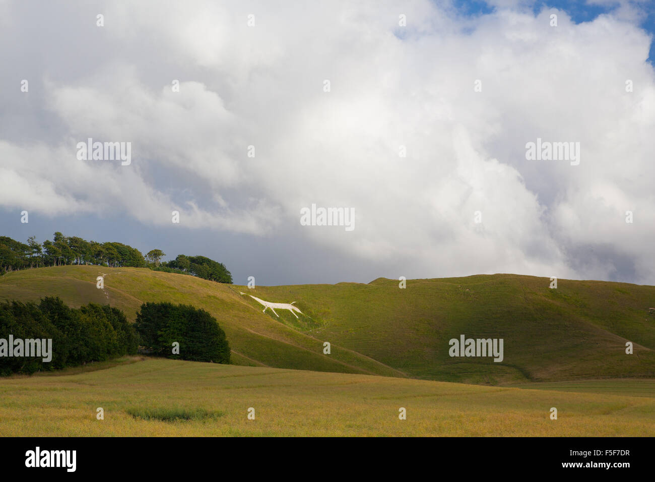 Mystic White Horse en la colina cerca de Avebury. Gran Bretaña . Es atracción icónica talladas en nuestras laderas. Foto de stock