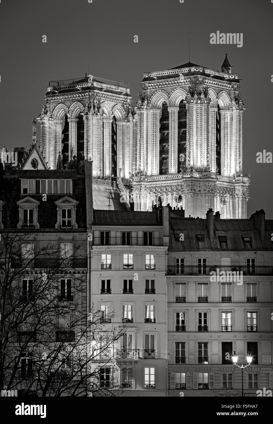 Torres gótico francés de Notre Dame de Paris iluminados durante la noche. Ile de la Cite, 4th arrondissement, París, Francia Foto de stock