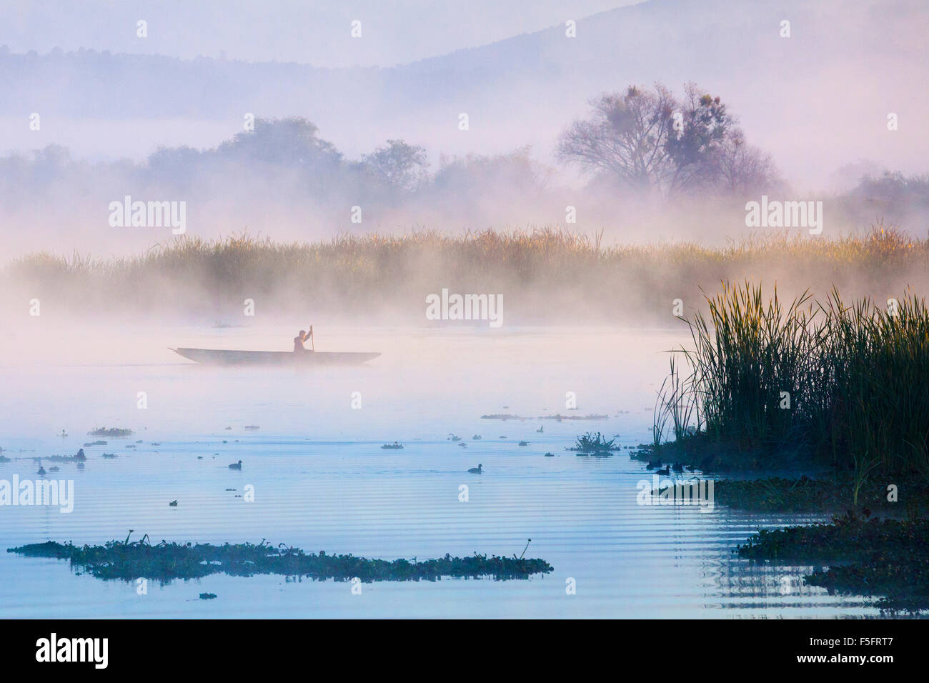 Pescador en canoa al amanecer, el lago de Pátzcuaro, Michoacán, México. Foto de stock