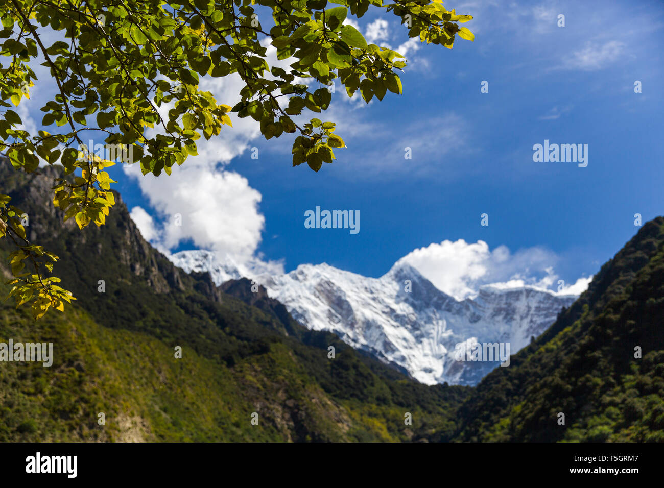 Nanjiabawa montaña en Tibet, China Foto de stock