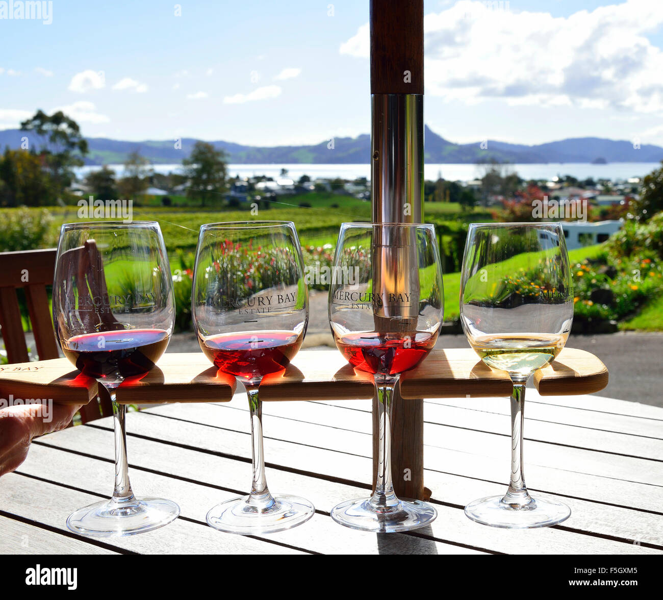 Cata de vinos en Mercury Bay Estate Vineyard, Mercury Bay, North Island, Nueva Zelanda Foto de stock