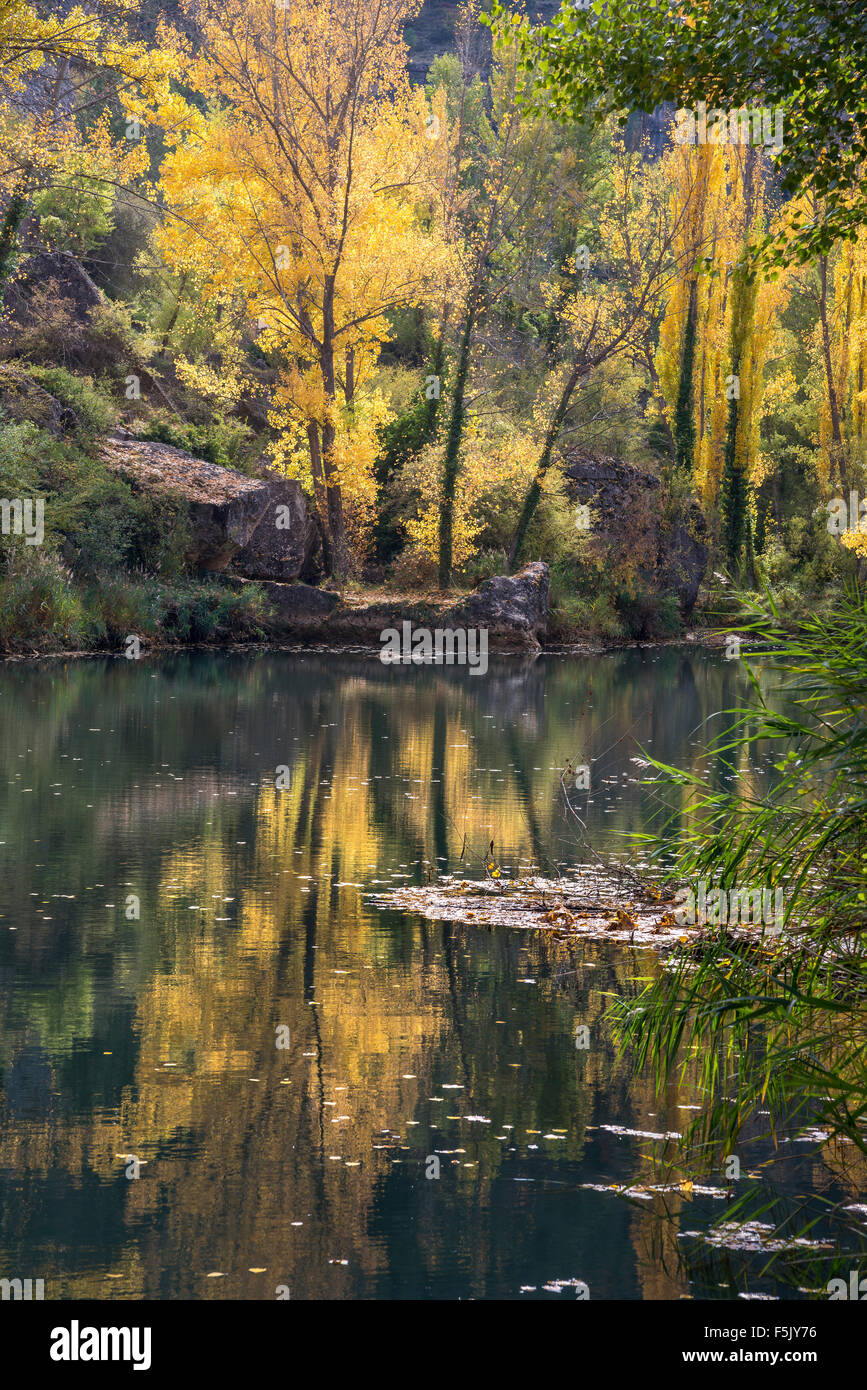 Otoño en el río Júcar en la Hoz del Júcar gorge en Cuenca, Castilla-la  mancha, España central Fotografía de stock - Alamy
