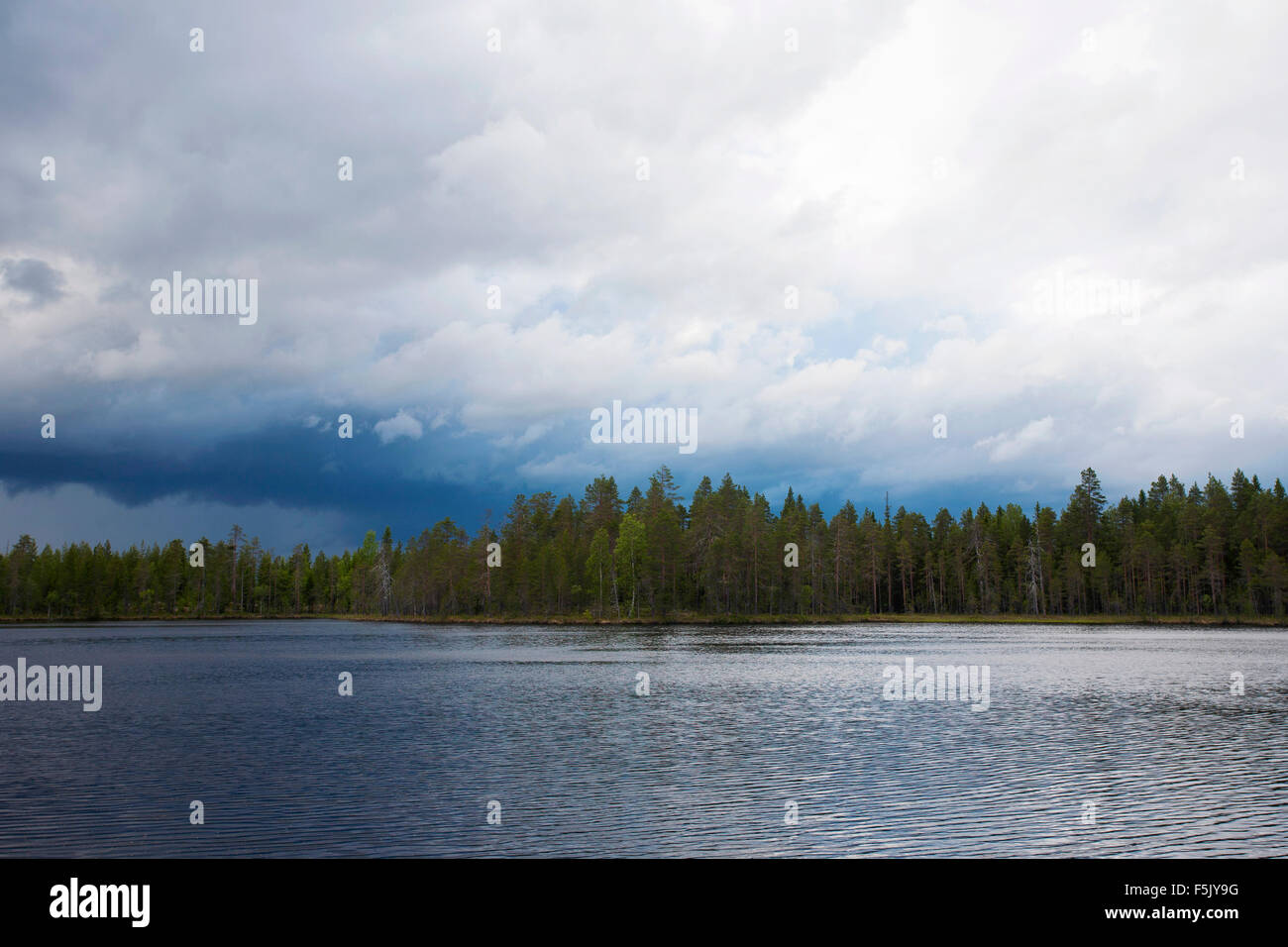 Clima lluvioso en el lago en la taiga, Kainuu finlandés, en el norte de Karelia, Finlandia Foto de stock