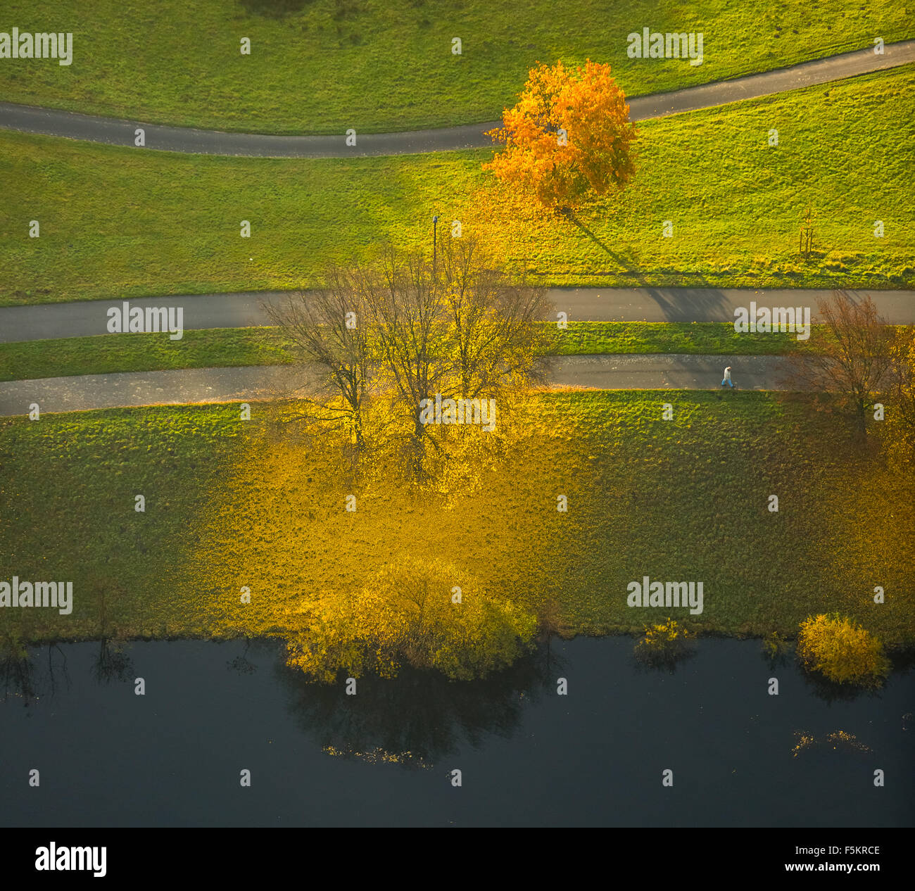 Los árboles de hoja caduca en otoño en la orilla del lago Kemnade hojas amarillas, Foto de stock