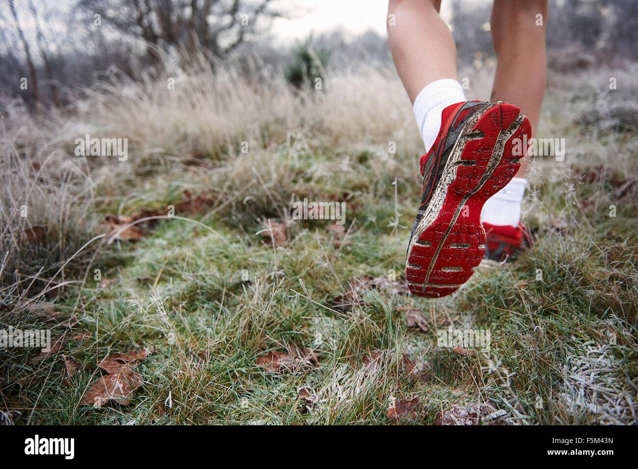 Vista trasera de los adolescentes varones en las piernas, el pie levantado, suela de zapato Foto de stock