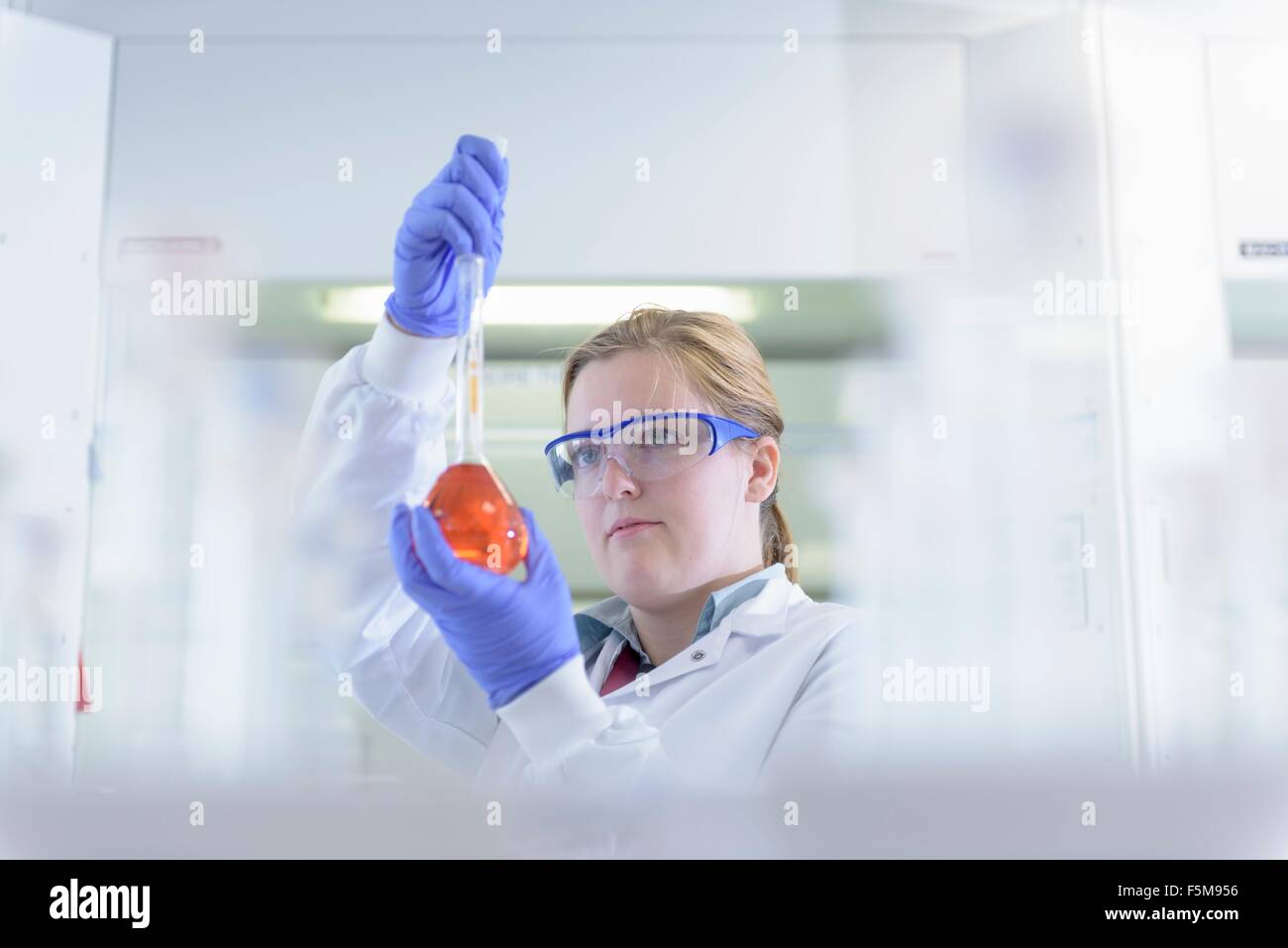 Scientist inspeccionando las muestras coloreadas en las pruebas de laboratorio Foto de stock