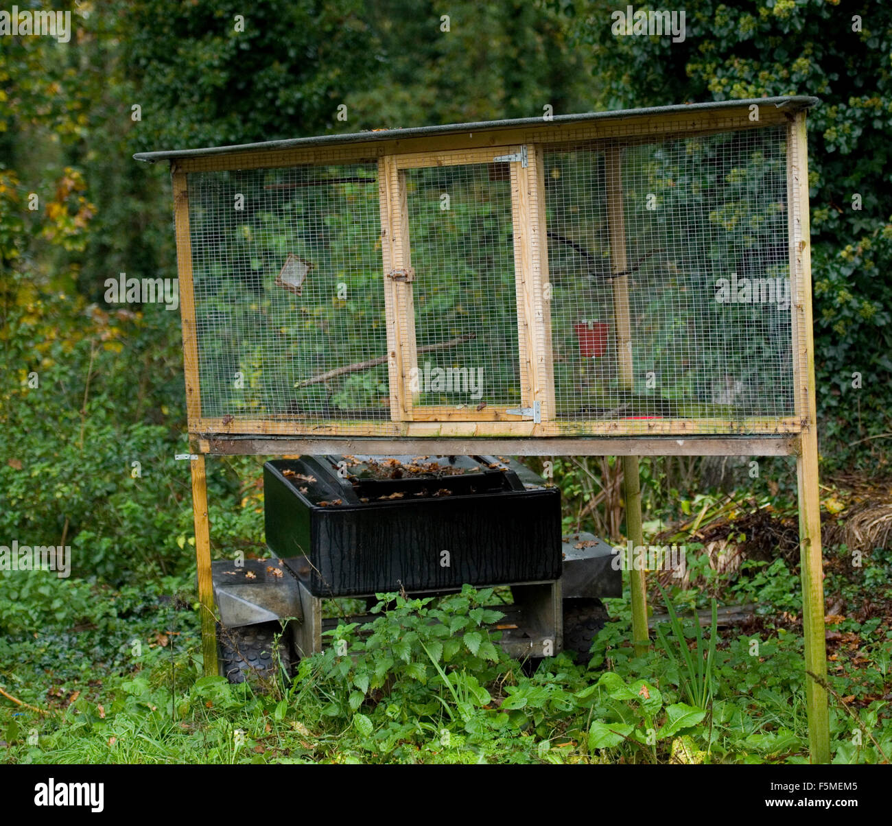 Interceptan en Lugo a un cazador furtivo de pájaros que utilizaba jaulas  trampa en árboles