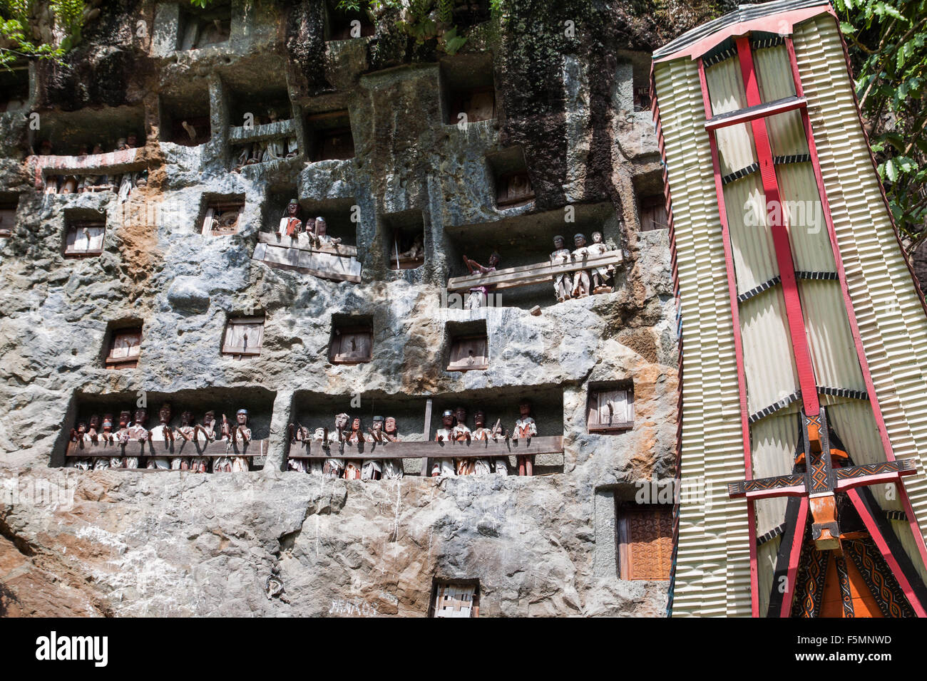 Estatuillas de madera mejor conocido como Tao Tao entre la cultura indígena de Tana Toraja en Sulawesi contenidas dentro de un acantilado, rara y singular vista Foto de stock