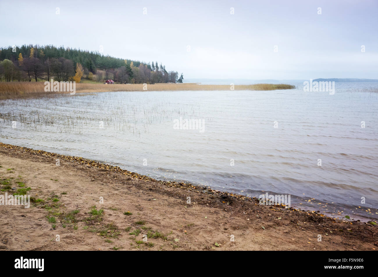 Niebla por la mañana en la costa del lago aún en Finlandia Foto de stock