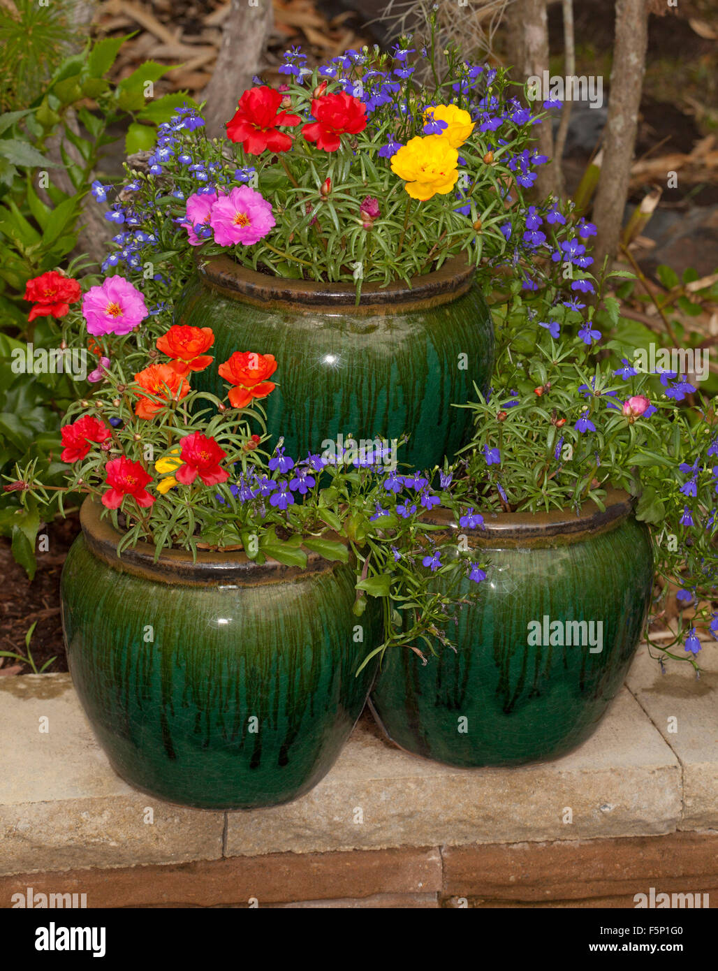 Masa de coloridas flores de primavera anuarios, amarillo, rojo, rosa y azul portulacas lobelia en recipiente de cerámica verde oscuro / strawberry pot Foto de stock