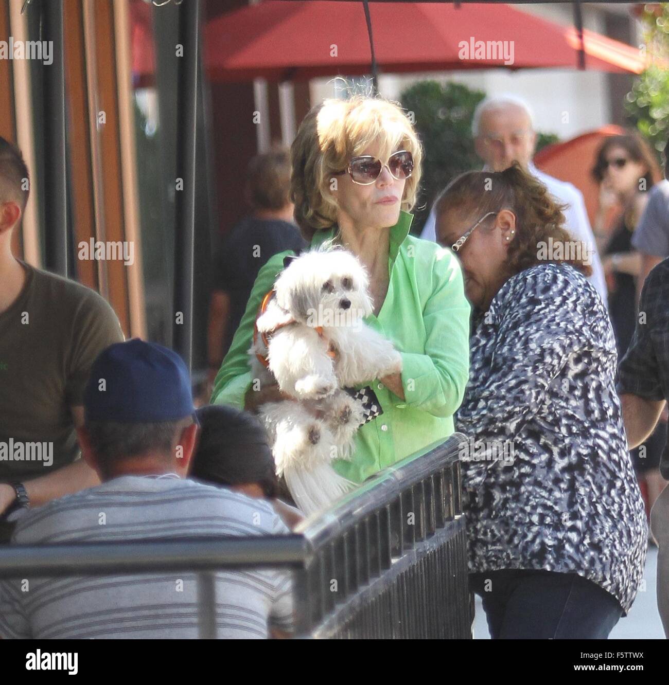 Coton de tulea fotografías e imágenes de alta resolución Alamy
