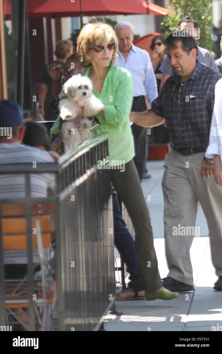 Coton de tulea fotografías e imágenes de alta resolución Alamy