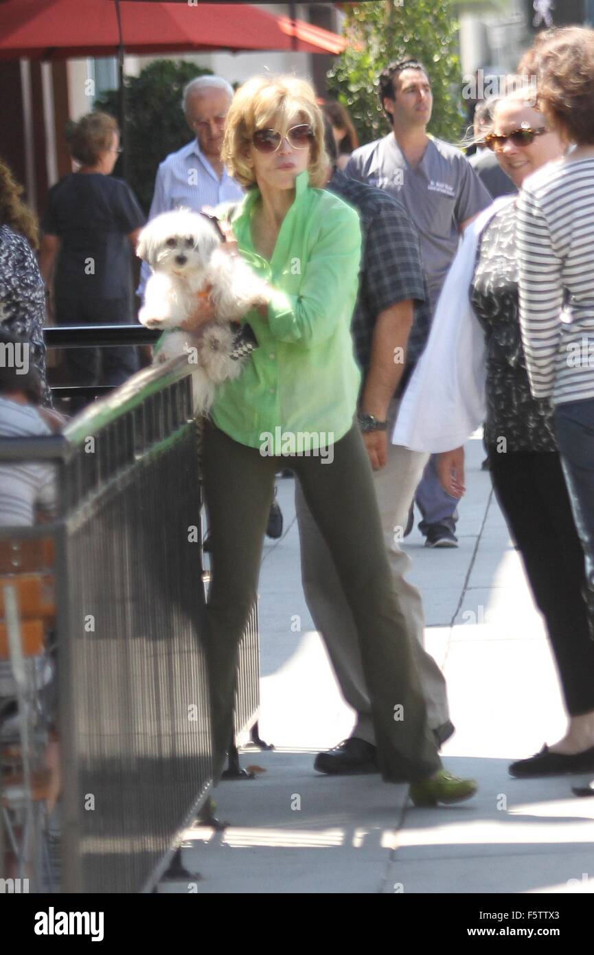 Coton de tulea fotografías e imágenes de alta resolución Alamy