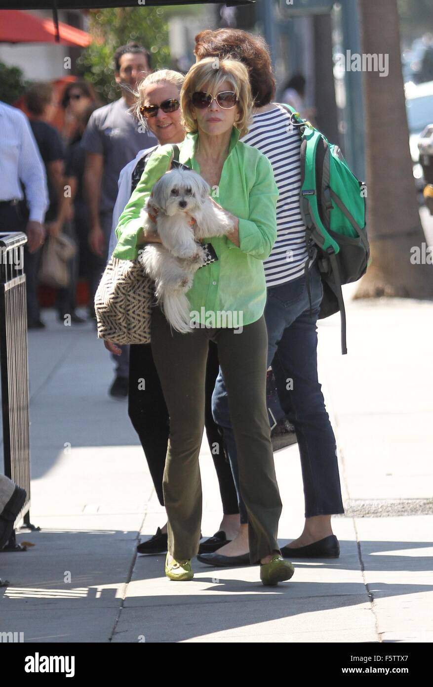 Coton de tulea fotografías e imágenes de alta resolución Alamy