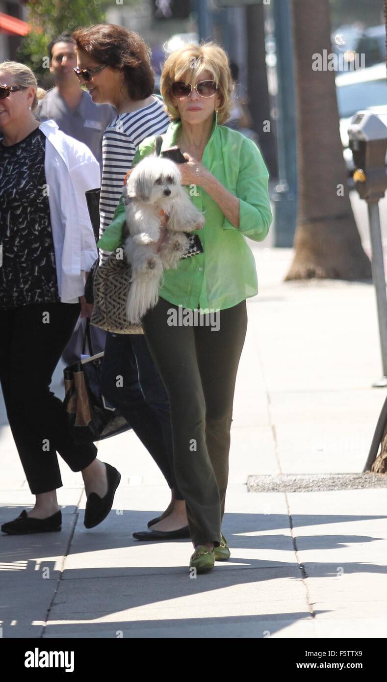 Coton de tulea fotografías e imágenes de alta resolución Alamy