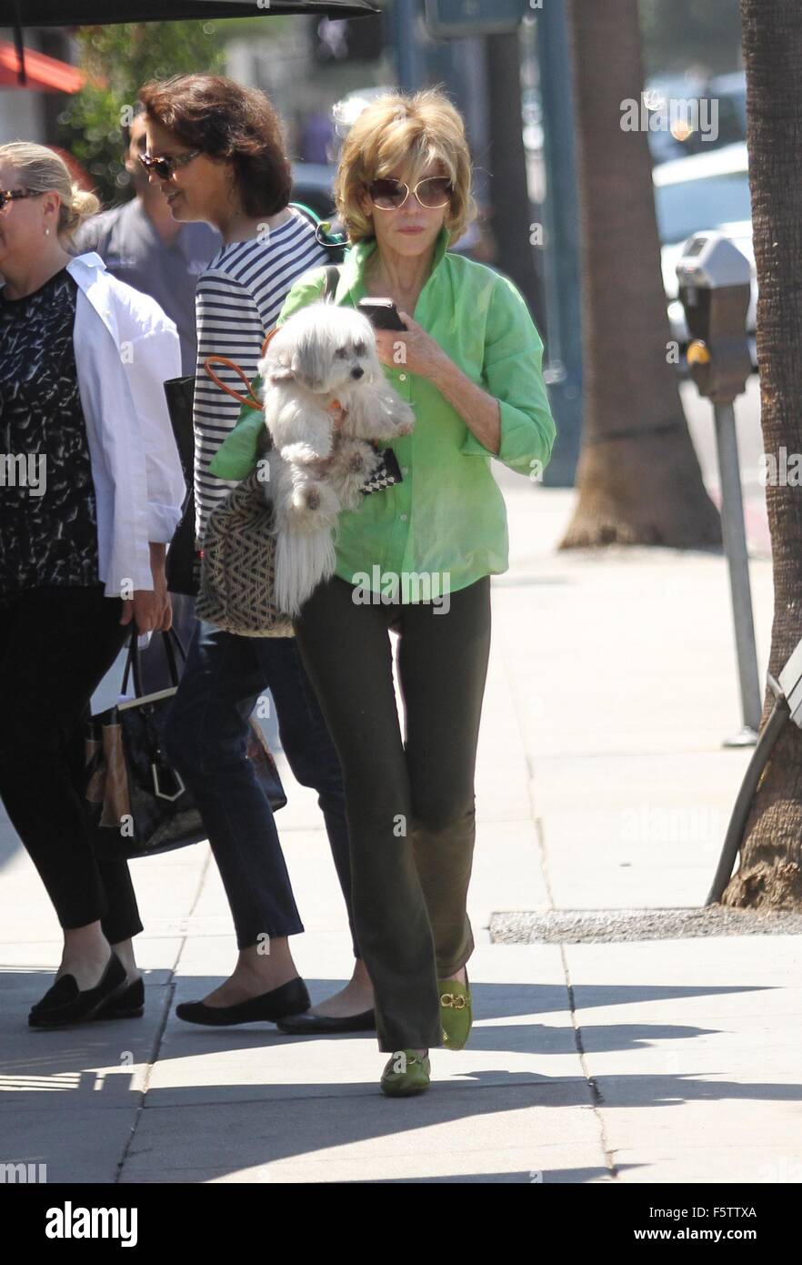 Coton de tulea fotografías e imágenes de alta resolución Alamy