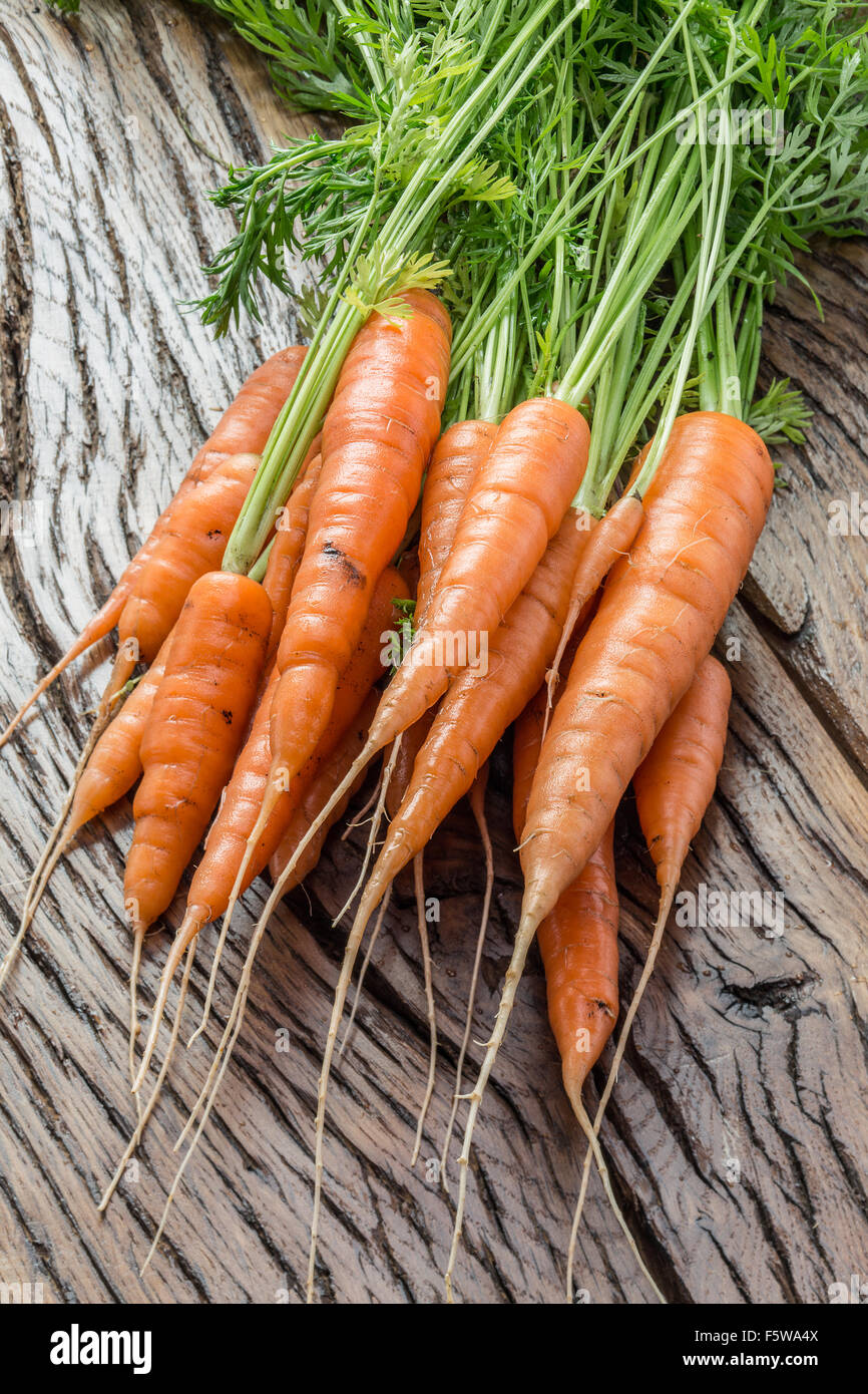 Las zanahorias con verdes sobre la mesa de madera antigua. Foto de stock