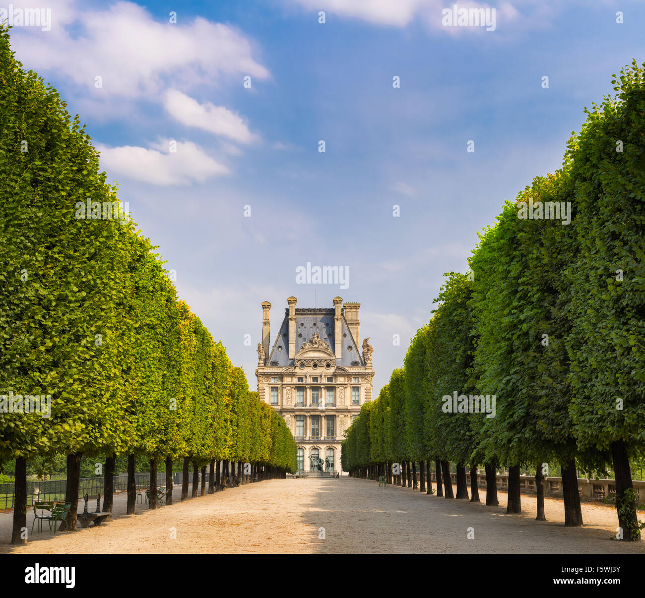 Jardín Tuilleries vista arbolada conduce al museo del Louvre. Summer View de la Terrasse du bord de l'Eau en París, Francia Foto de stock