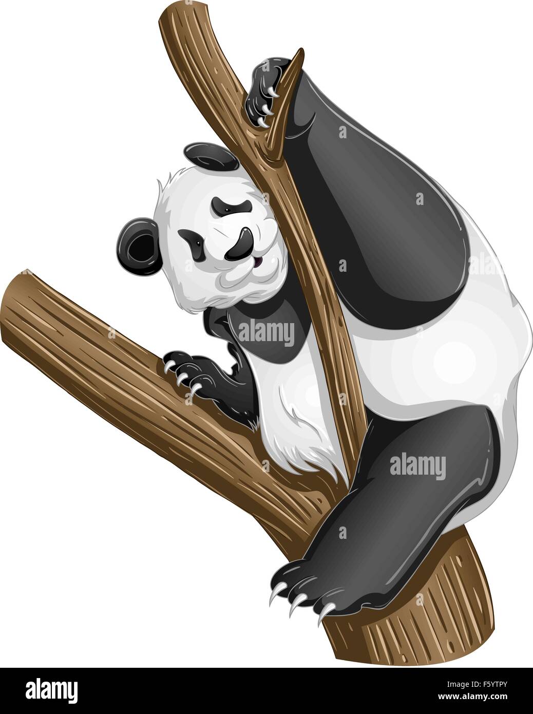 Oso panda imágenes de stock de arte vectorial