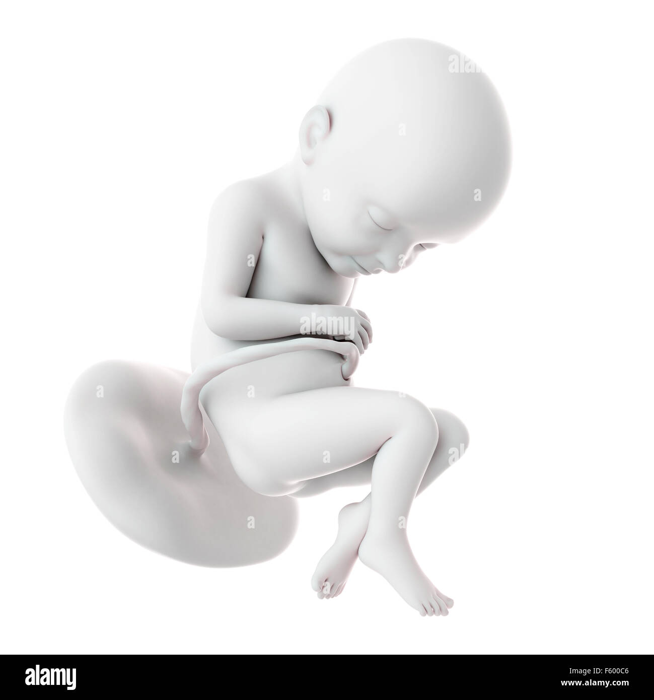 Semana 32 embarazo fotografías e imágenes de alta resolución - Alamy