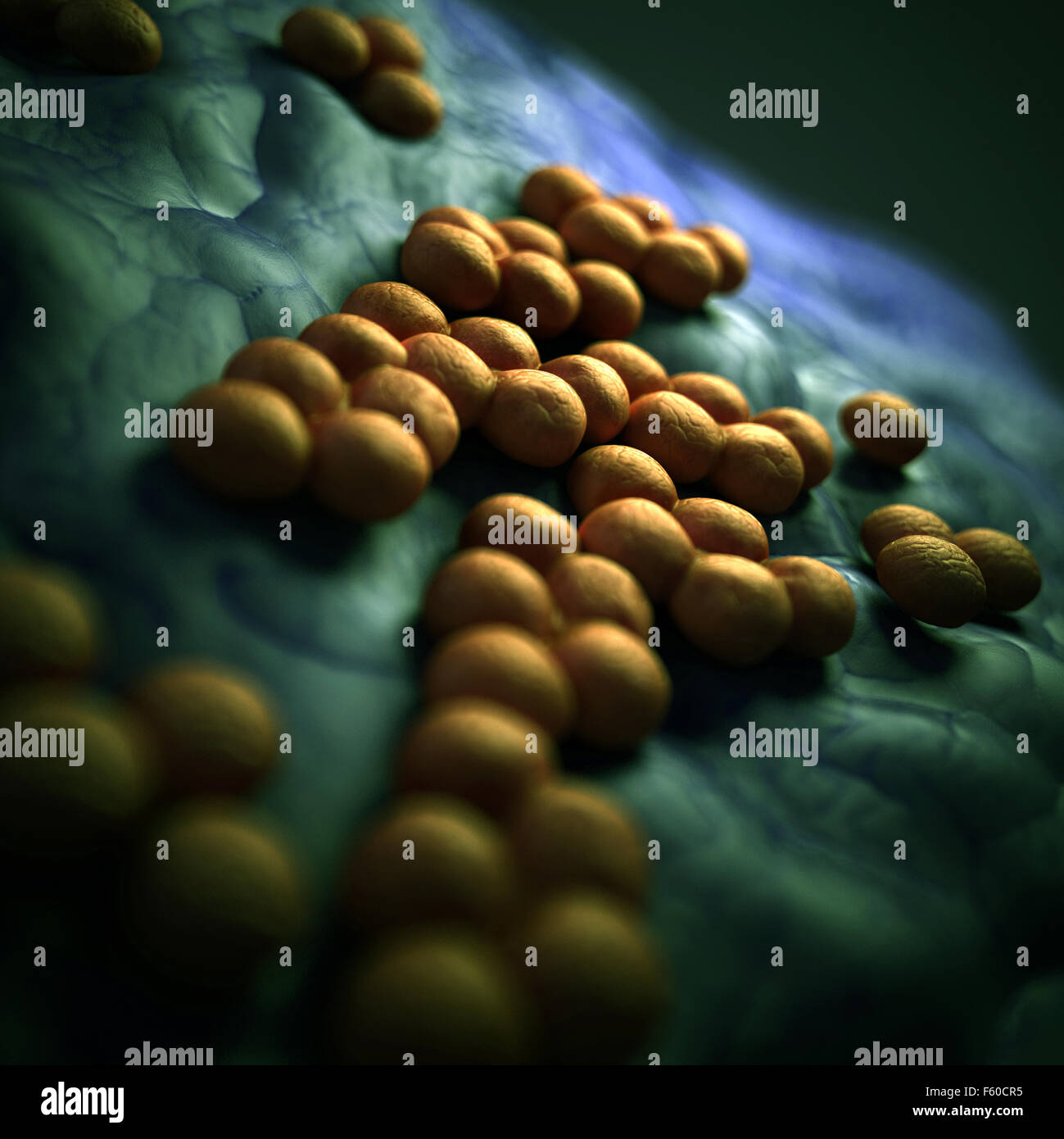 Medical bacterias ilustración del mrsa Foto de stock