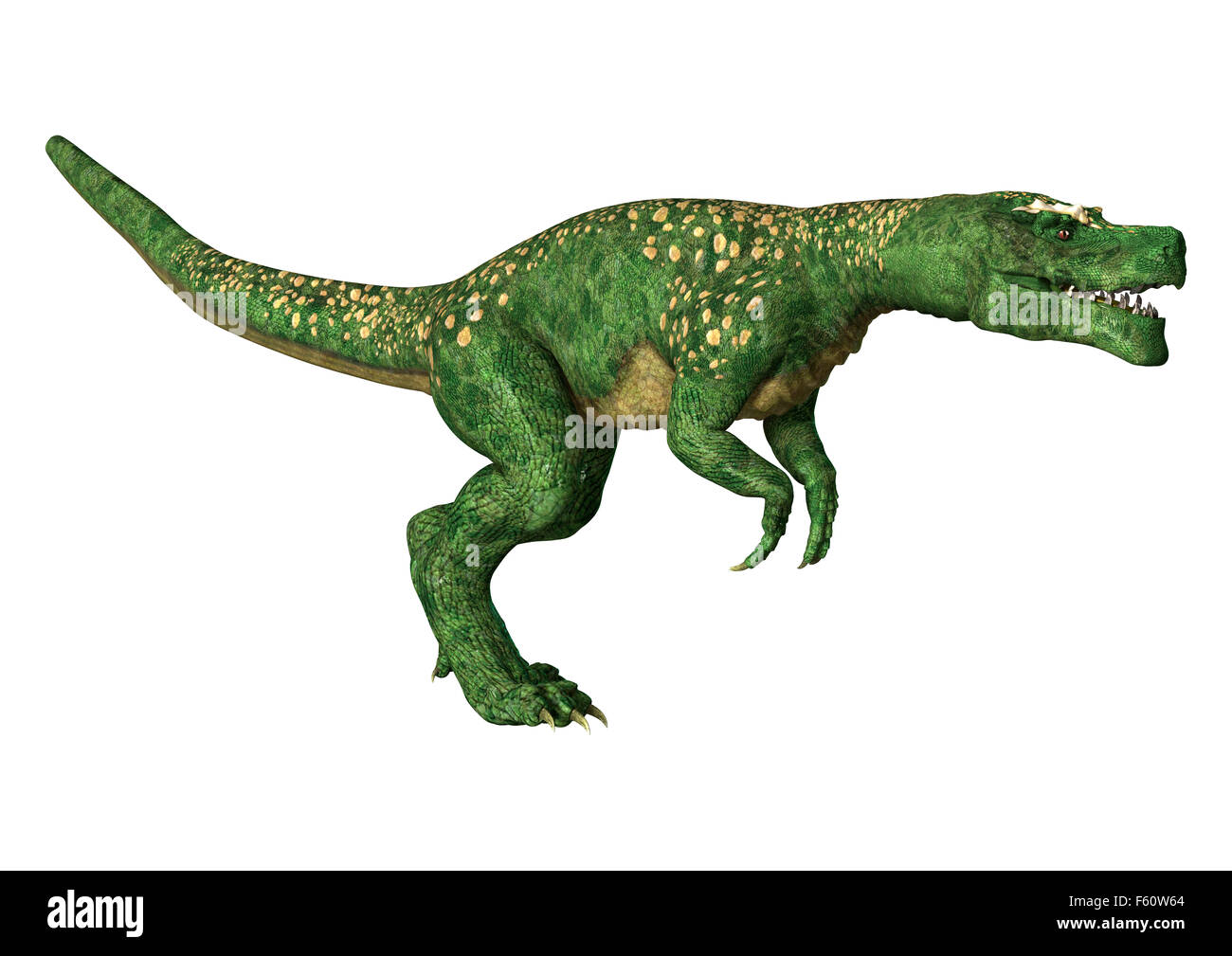 Digital 3D Render de un dinosaurio tyrannosaurus aislado sobre fondo blanco  Fotografía de stock - Alamy