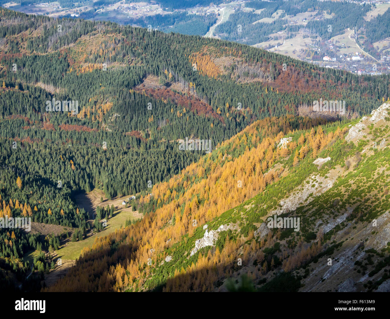 Hermosa vista de los valles y colinas cubiertas de abetos y alerces, visto desde el sendero de las montañas Tatra, Polonia Foto de stock