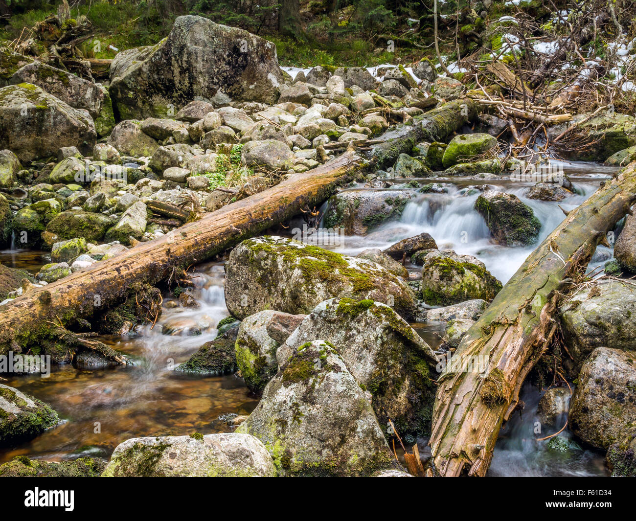 Mountain Brook con rocas de musgo en las montañas Tatra Foto de stock