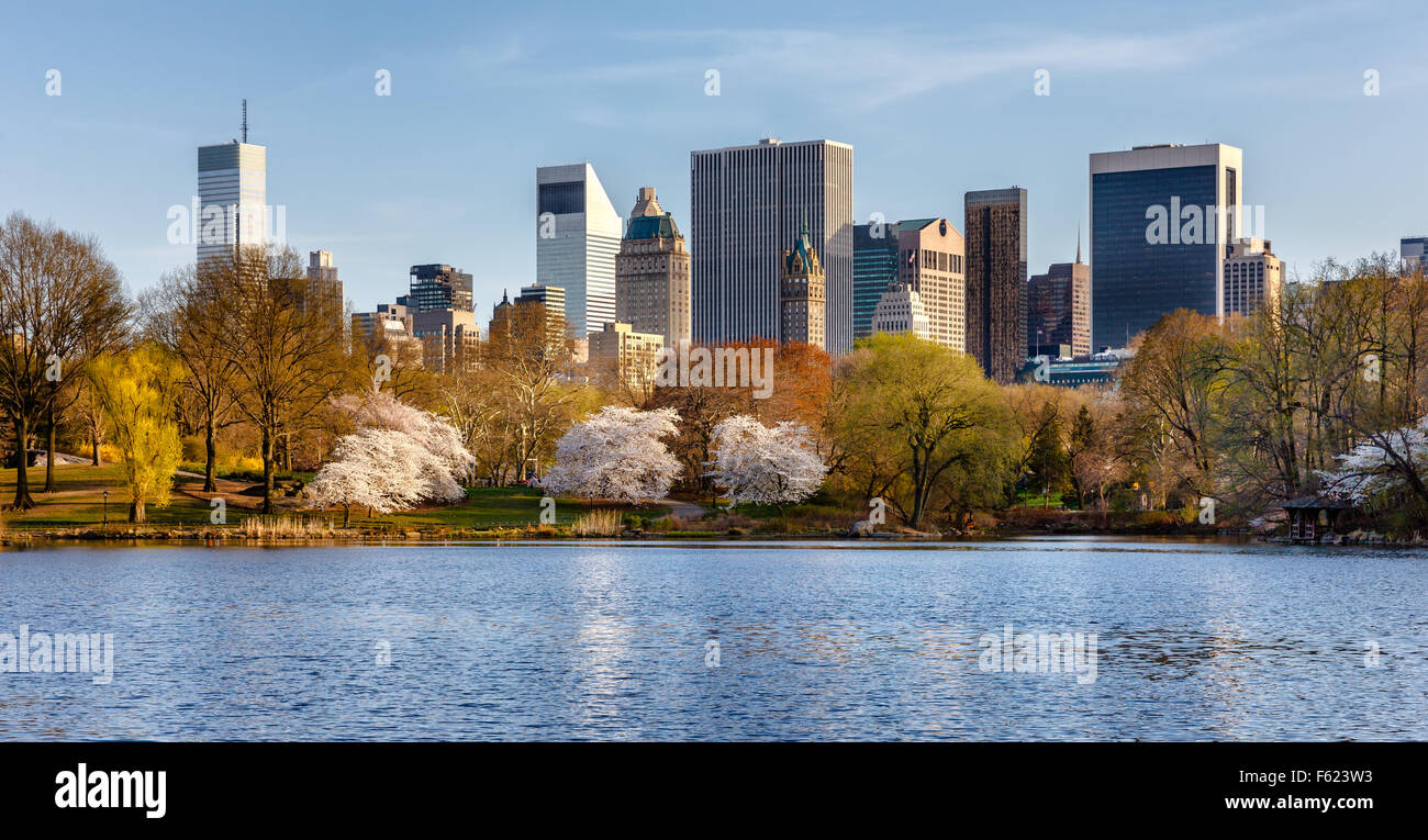 La primavera en Central Park, con la floración de los cerezos Yoshino, cerca del lago. Vista oriental de rascacielos de Manhattan, Ciudad de Nueva York Foto de stock