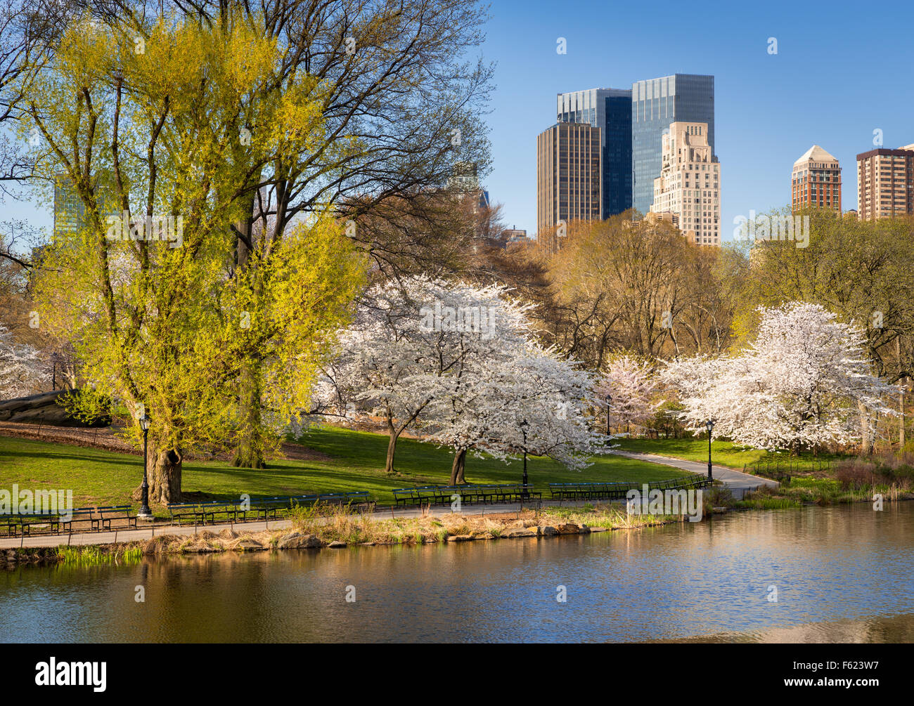 Central Park en primavera, florecen los cerezos Yoshino, Upper West Side de Manhattan, Ciudad de Nueva York Foto de stock