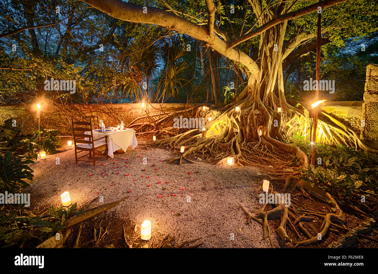 Un juego de mesa para dos bajo el árbol de los sueños en el renovado hotel Hacienda San José Cholul en Yucatán, México. Foto de stock