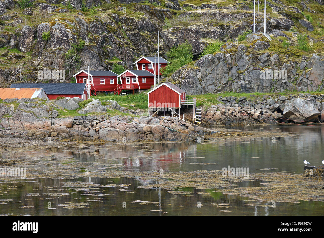 Fisherman's cabañas cerca de la aldea de Steine, Vestvagøya en las islas Lofoten. Foto de stock