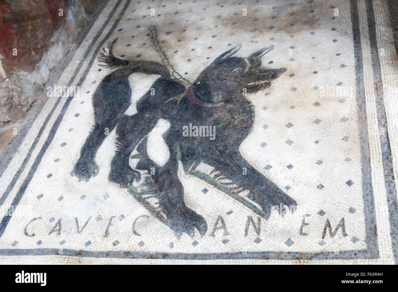 CAVE CANEM - Cuidado con el perro suelo de mosaico en el atrio de la casa del poeta trágico en Pompeya, Italia Foto de stock