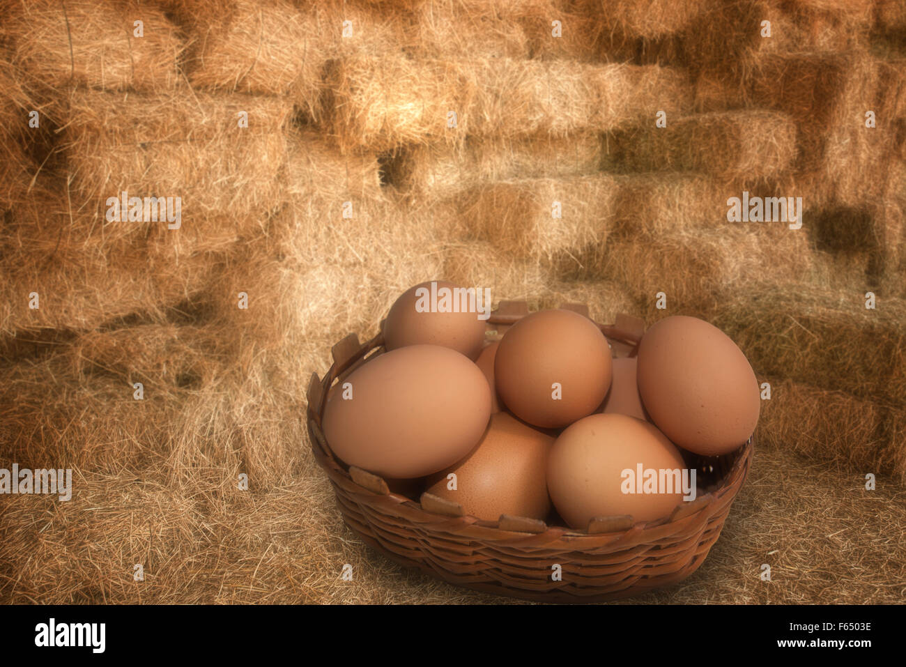 Frescos huevos marrones en un granero de paja Foto de stock
