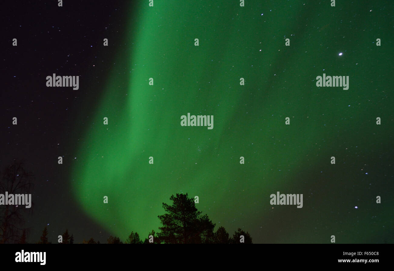 Majestuosa aurora borealis, Northern light, más bosque de invierno en una noche llena de estrellas en el círculo polar ártico, el norte de Noruega. Foto de stock