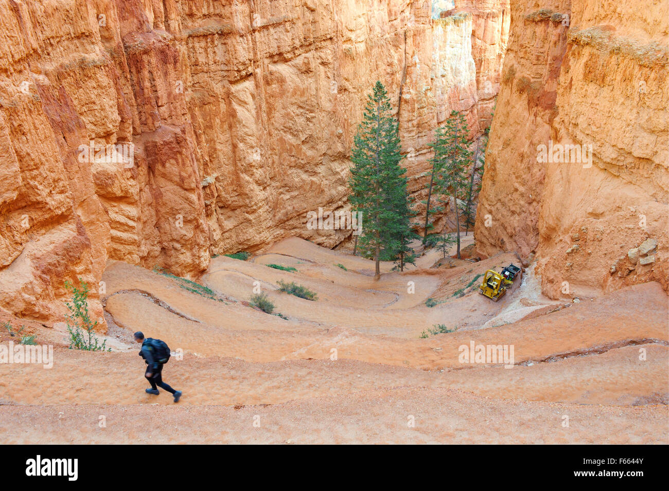 Excursionista subiendo el zigzag de la Navajo Loop Trail en el Parque Nacional Bryce Canyon, Utah, EE.UU.. Foto de stock